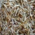 Import Best quality Dry Stock Fish / Dry Stock Fish Head / dried salted cod&quot;&quot; from China