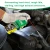 Import Best Results Car Care Throttle Body Cleaner for Throttle Body Cleaning from China