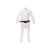 Import Best Selling Price  New Sportswear Cotton Martial arts uniform wear karate suits from China
