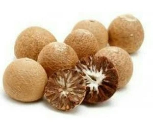 BETEL NUT - ARECA NUTS / Quality whole and Split Betel Nut  for sales