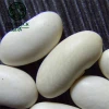 Big Size Product Type White Kidney Bean