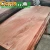 Import BNG face veneer similar to gurjan veneer natural wood veneer from China