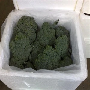 broccoli for sale