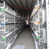 Bt Factory Hot-sale H Type Battery Broiler Chicken Cages For Kenya(factory Price)