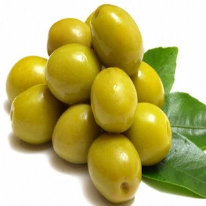 Canned Green Olives/Fresh Green Olives
