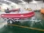 Import CE Engine 3 Persons Red Inflatable Jetski Boat For Sale USA from China