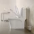 Import ceramic one-piece toilet complete closestool from China