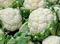 Certified Fresh Cauliflower/ ISO Fresh Cauliflower