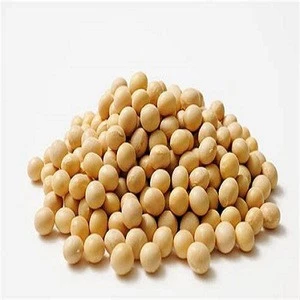 Certified Premium Quality Food Organic Soybean/ Soya Bean/ Soybeans Seeds