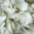 Import Cheap dehaired natural white goat cashmere fiber from China