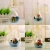 Import Cheap Terrarium Kit Miniatures For Kids from China