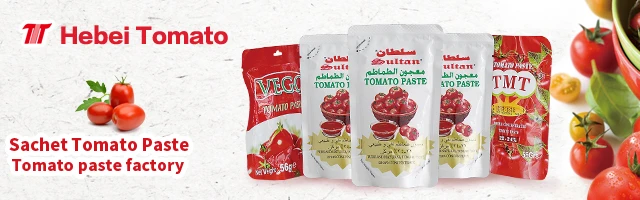 China factory Best price 70g tomato paste in pouch