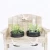 Import China factory wholesale fancy container large plant pots for desktop from China