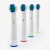 China Professional Manufacturer Wholesale Adult Electronic Tooth Brush Electric Toothbrush Head