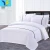 Import China supplier sateen plain luxury hotel bedding bed set duvet cover 100% cotton from China