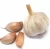 Import Chinese vegetable seeds garlic supplier in Jining China from China
