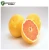 Import citrus paradisi seed extract from China