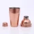 Import Cocltailshaker 550ml Stainless Steel Cocktail Making Set Rose Gold Plated Cocktail Sets from China
