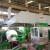Import cold coiled rolling mill machine from China