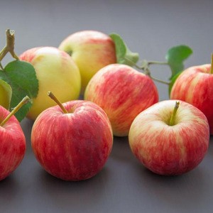 Competitive Grade A Fresh Apples/Polish Apples,Fresh Fruit At A Very Good Price Available