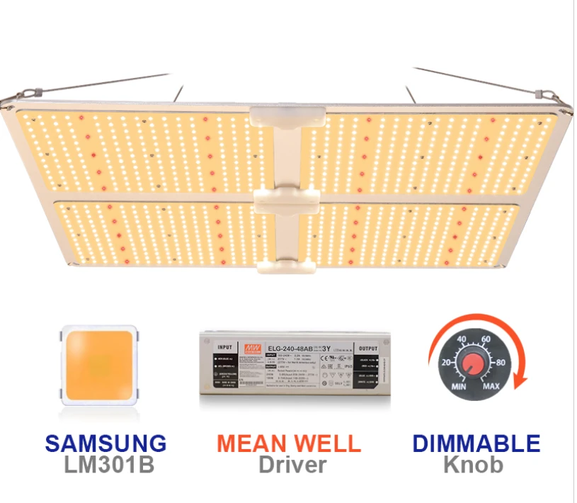 Competitive Price Greenhouse Vegetable Plant 240W 450W 600W LM301B 660nm IR LED Mean Well Driver LED Grow Light