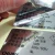 Import Custom Gold & Silver Metallic Polyester Stickers from China