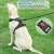 Import Custom High End Dog Harness Luxury Pechera Para Perro Pet Dog Reversible Harness Reflective Dog Harness from China