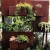 Import Custom Indoor Metal Hanging Flower Wall Pot Unique Vertical Garden Pot Green Plant Wall Planter For Gardening from China