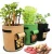 Import Custom Logo Durable Felt Non Woven Smart Potato Grow Bags Window Vegetable Growing Bag from China