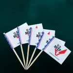 Custom Shape Party Cocktail Food Fruit Colorful Label Sticks Logo Printing Innovative Burger Cake Toothpick Country Flags