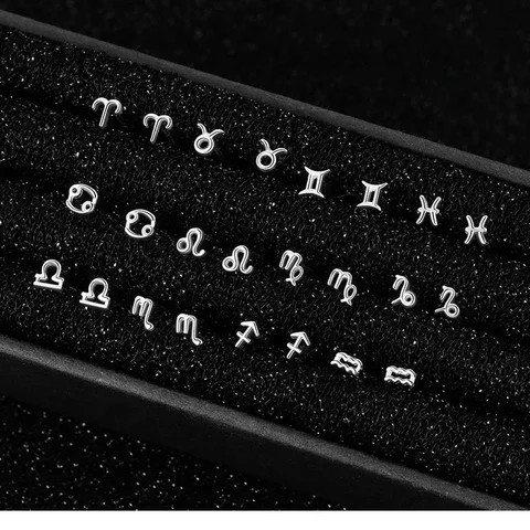 Buy Customized Nose Studs Nose Piercing Jewelry 12 Zodiac Sign Sterling