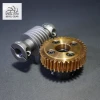 Customized Steel Micro Worm Gear for Machine Components Manufacturer in Taiwan