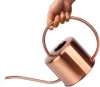 Decorative Copper Colored Watering Can - Easy Pour Gooseneck Spout for Fast and Easy Indoor Plant Watering