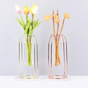 Decorative Glass Metal Transparent Glass Tube Minimalist Test Tube Vases