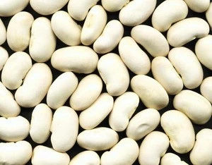 delicious sweet big white kidney bean(snack food) in package