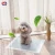 Import Deodorization Carbon Bamboo Charcoal Disposable Pet Dog Pee Pad for Potty Urine Training S M L XL from China