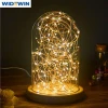 Desk Decoration Glass Table Lamp with LED Lights