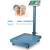 Import Digital Industrial Platform Scale 300 Kg Weighing Scale electronic weigh scale platform from China