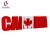 Import Door to door  ali express delivery  Canada freight shipping from China to Canada from China