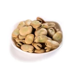 Dried Broad Beans Fava Beans With Best Price