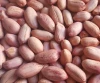 Egyptian Peanuts