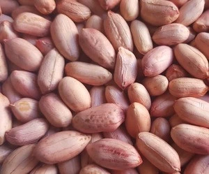 Egyptian Peanuts