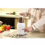 Electric Dry Fruit Small Mixer Garlic Blender Juicer Mixer Grinder