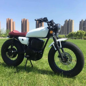 eletric bike 2KW Hottest Electric Motorcycle cafe Racer off road Motorcycles