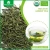 Import EU NOP Certified Organic Green Tea from China