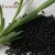Import EVEREST Nitrogen (n) Phosphorus (p) Potassium (k) Npk Organic Matter Black Granular Dap Compound Fertilizer from China