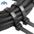 Import Factory Price TH3-2.5-100 Width2.5mm 0.098Inch Self-Locking Nylon Cable Ties from China