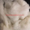 Factory Wholesale Sheep Pure Wool Fiber Material for Knitting Length 26-34mm and Fineness 16.5-19.8mic