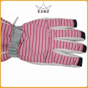 Fashion Wholesale Top Quality Snowboarding Nylon Thinsulate Insulation Winter Snow Ski Gloves