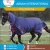 Import Fiber Nylon and Polyester Filling Horse Winter Rug and Combo from India